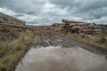 Many softwood logs lie along the road in mud and puddles on a cloudy fall afternoon at an old abandoned sawmill Royalty Free Stock Photo