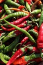 Many sortiments of hot peppers