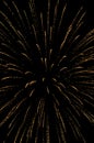 many sparks in time fireworks in night sky Royalty Free Stock Photo