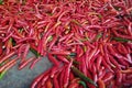 Many spicy red chili peppers