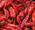 Many spicy red chillies