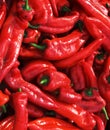 Many spicy red chillies