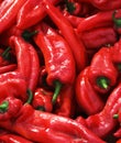 Many spicy red chillies