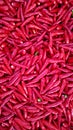 Many spicy red chillies are sold in the market. Top view