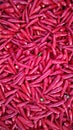 Many spicy red chillies are sold in the market. Top view