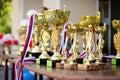 Many sports cups and medals on the table before awarding athletes