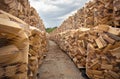 Many stacks of natural chopped fire wood outdoor