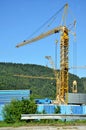 Many standing yellow tower cranes, forested hill and blue sky in background