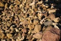 many stones of different shapes on the ground