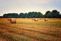 Many straw bales on a field Royalty Free Stock Photo