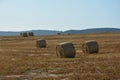 Many Straw bales lie in a landscape Royalty Free Stock Photo