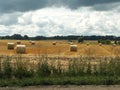 many straw bales are located in the field Royalty Free Stock Photo