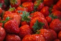 Many strawberries on a pile Royalty Free Stock Photo