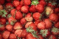 Many strawberries shot from the top Royalty Free Stock Photo