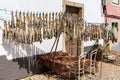 Many strips of salted codfish or bacalao drying in front of a small house in the old town of Peniche