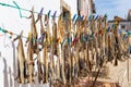 Many strips of salted codfish or bacalao drying in front of a small house in the old town of Peniche