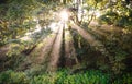 Suns rays creating sunbeams.