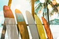 Many surfboards beside coconut trees .