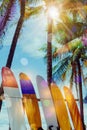 Many surfboards beside coconut trees at summer beach with sun light.