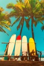 Many surfboards beside coconut trees at summer beach with sun light and blue sky.