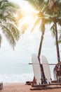 Many surfboards beside coconut trees at summer beach with sun light and blue sky.