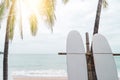 Many surfboards beside coconut trees at summer beach with sun light and blue sky.