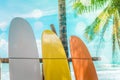 Many surfboards beside coconut trees at summer beach with sun light.