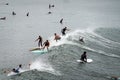 Many surfers on their surfboards on a crowded ocean waiting for a wave to ride Royalty Free Stock Photo