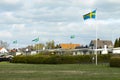 Many swedish flags celebrating swedish national hoilday