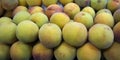 Many sweet peach fruits. Royalty Free Stock Photo