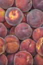 Many sweet peach fruits background. Royalty Free Stock Photo