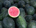 Many sweet watermelon fruits for sale in Vietnam