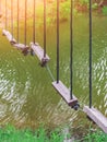 Many swings made of wooden board and tied with rope hang on cable over a small stream flowing through a tropical green rainforest