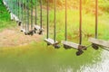 Many swings made of wooden board and tied with rope hang on cable over a small stream flowing through a tropical green rainforest