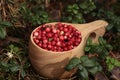 Many tasty ripe lingonberries in wooden cup outdoors, closeup