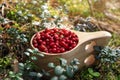 Many tasty ripe lingonberries in wooden cup outdoors, closeup