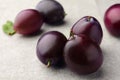 Many tasty ripe plums on light fabric, closeup