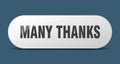 many thanks button. sticker. banner. rounded glass sign Royalty Free Stock Photo