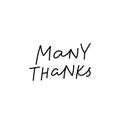 Many thanks calligraphy quote lettering