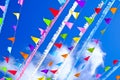 Many Tibetan prayer flags during a celebration day. Royalty Free Stock Photo