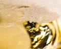 Many tiny bubbles on top of a glass of champagne - cut out