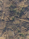 Many tire tracks in sunny desert sand shadows grass Royalty Free Stock Photo