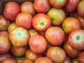 Many tomatoes on the store counter