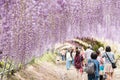 Many tourists during the Wisteria Flower Festival at Kawachi Fujien, Fukuoka, Japan Royalty Free Stock Photo