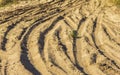 Many traces of different car tires on the sand of the sea beach. Royalty Free Stock Photo