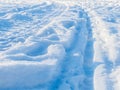 Many tracks and tire tracks in the snow Royalty Free Stock Photo