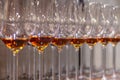 Many transparent crystal wine glasses with cognac stand in row on the brown wooden shelves of the rack. Side view. The concept of