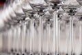 Many transparent crystal wine glasses stand in row on the brown wooden shelves of the rack. Side view. Concept of tasting, banquet