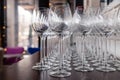 Many transparent crystal wine glasses stand in row on the brown wooden shelves of the rack. Side view. Concept of tasting, banquet Royalty Free Stock Photo