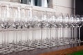 Many transparent crystal wine glasses stand in row on the brown wooden shelves of the rack. Side view. Concept of tasting, banquet Royalty Free Stock Photo